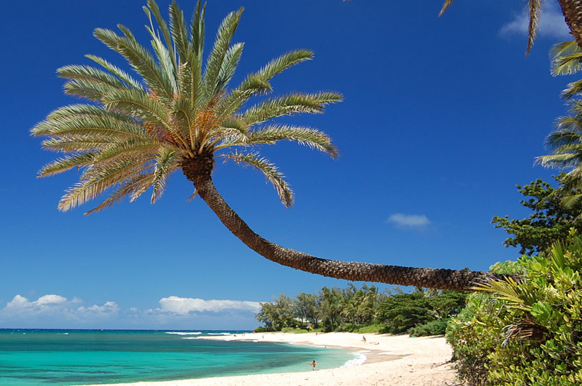 Sunset Beach on Oahu