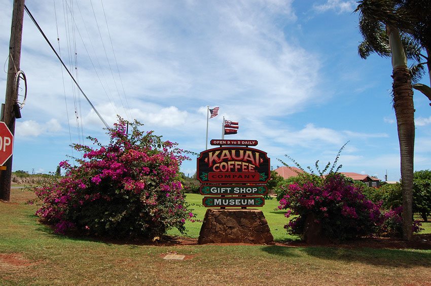 Entrance to the coffee plantation