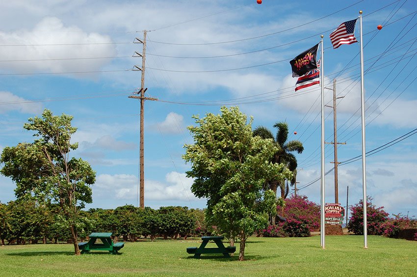 Flags in the garden near the entrance