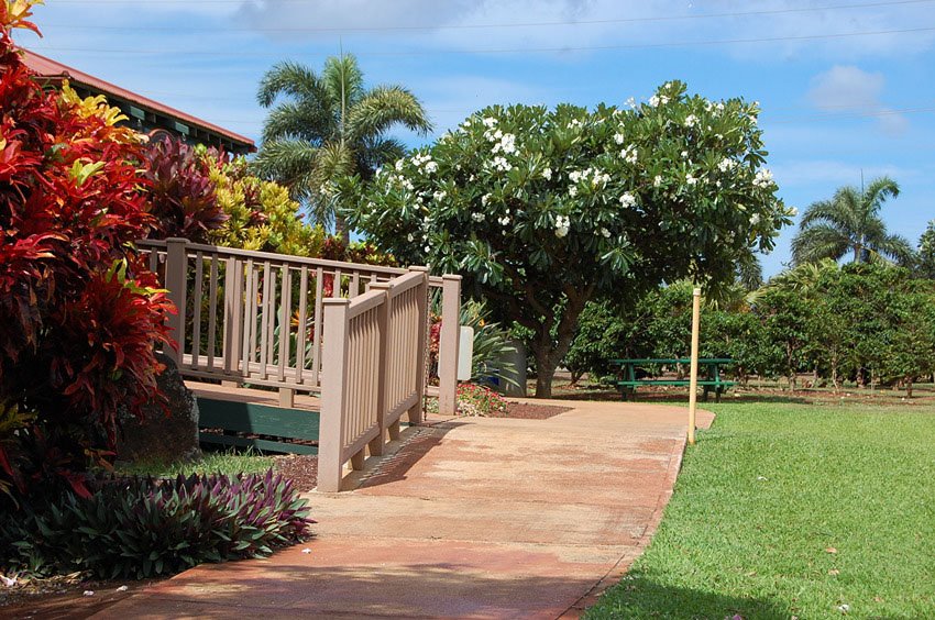 Walkway to the coffee store