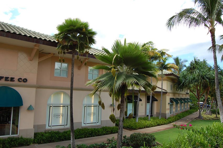Luxurious stores in Wailea