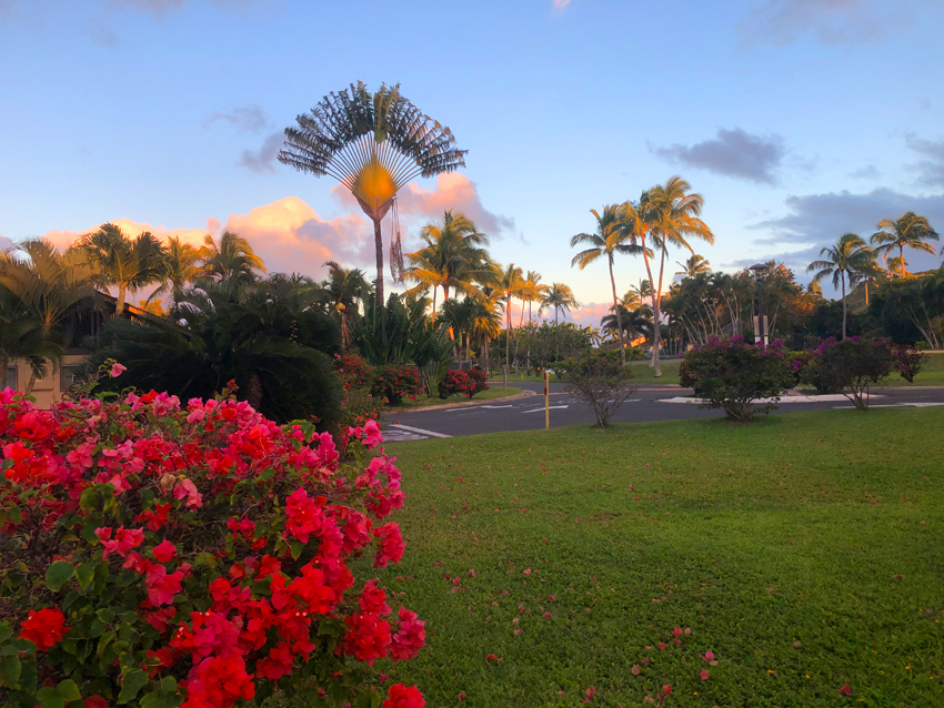 Kahuku Living