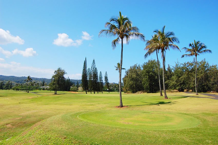 Palmer Golf Course