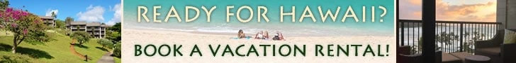 hawaii vacation rentals